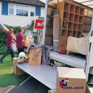 Movers- GR8Labor